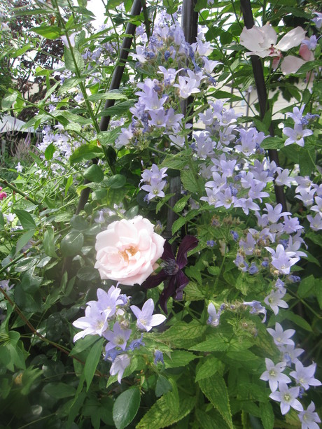 a0279743_6505890.jpg