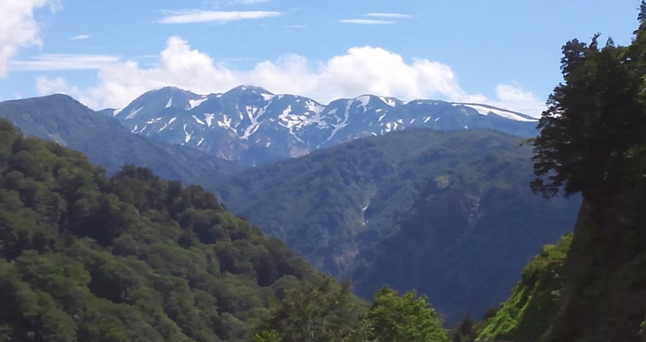 週末 いろいろ_b0062748_1151779.jpg