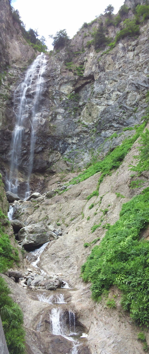 週末 いろいろ_b0062748_1153834.jpg