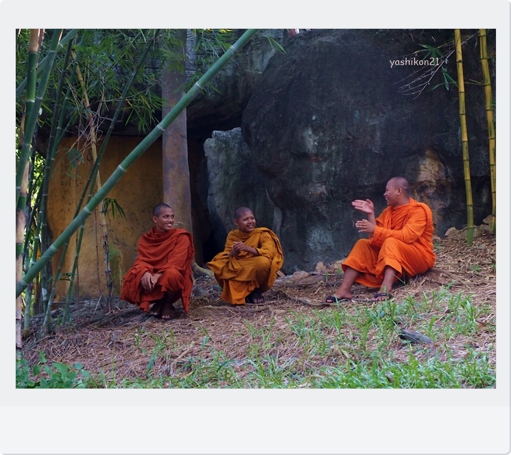 Monks in Cambodia Ⅴ_a0136249_2201346.jpg