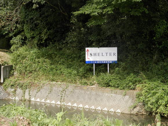 d0195861_1725879.jpg