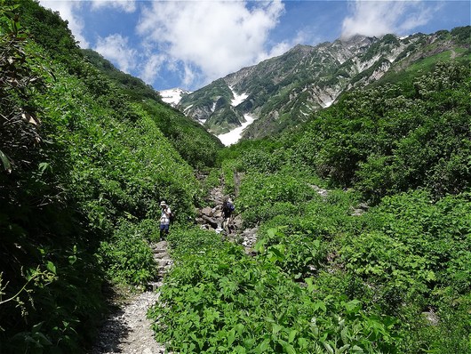 f0186275_752719.jpg