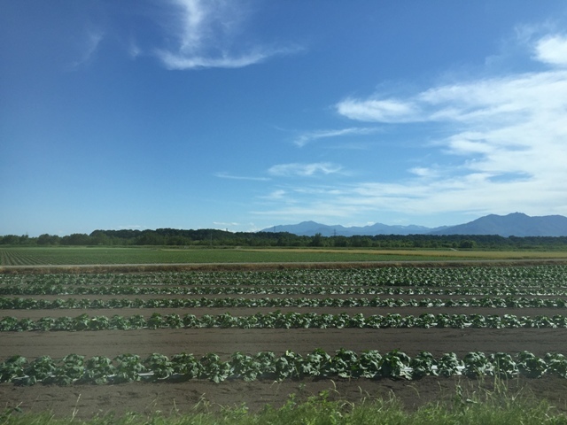 夏の北海道旅行① - “クラブメッド北海道” へ_a0139977_22092276.jpg