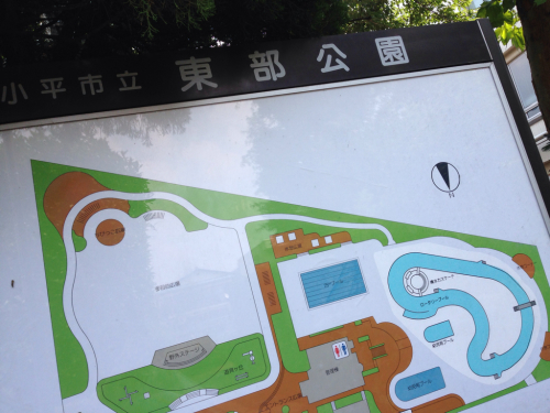 東部公園プール けやきの梢から 東部公園プール けやきの梢から