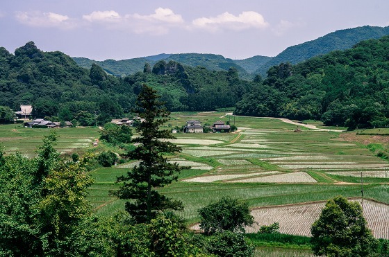 e0176993_07090965.jpg