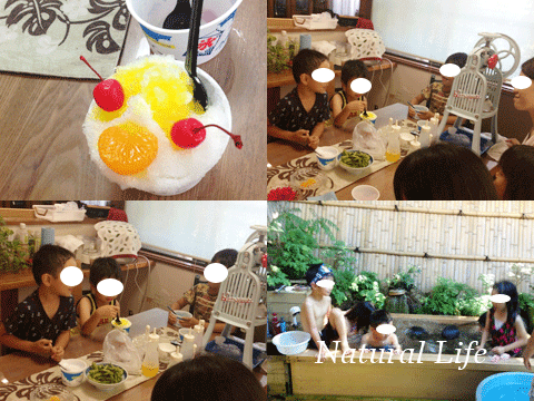 b0162000_6361541.gif