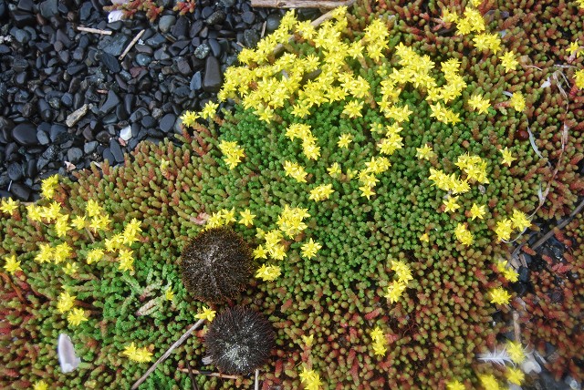 c0124100_031364.jpg