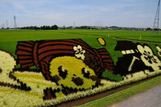 田んぼアート 茨城県水戸市ー Jazzの普段着写眞館