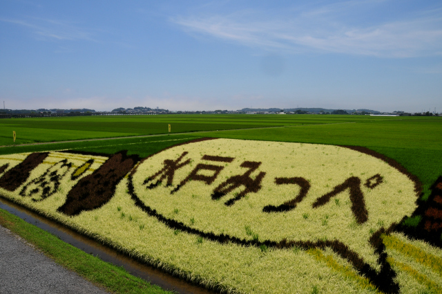田んぼアート 茨城県水戸市ー Jazzの普段着写眞館