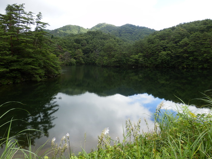 大野権現山（699m）_f0219710_6355150.jpg