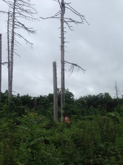 c0173813_12044661.jpg