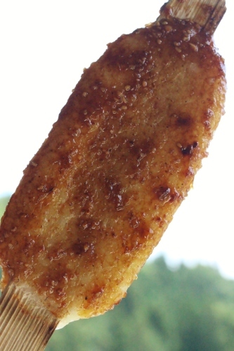 稲武梨野産桶茶葉(三年目)_b0220318_09490964.jpg
