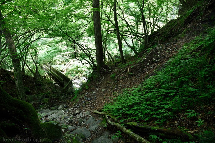 d0319222_2244920.jpg