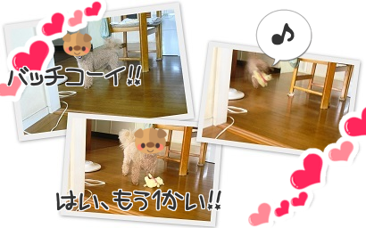b0320131_14200393.png