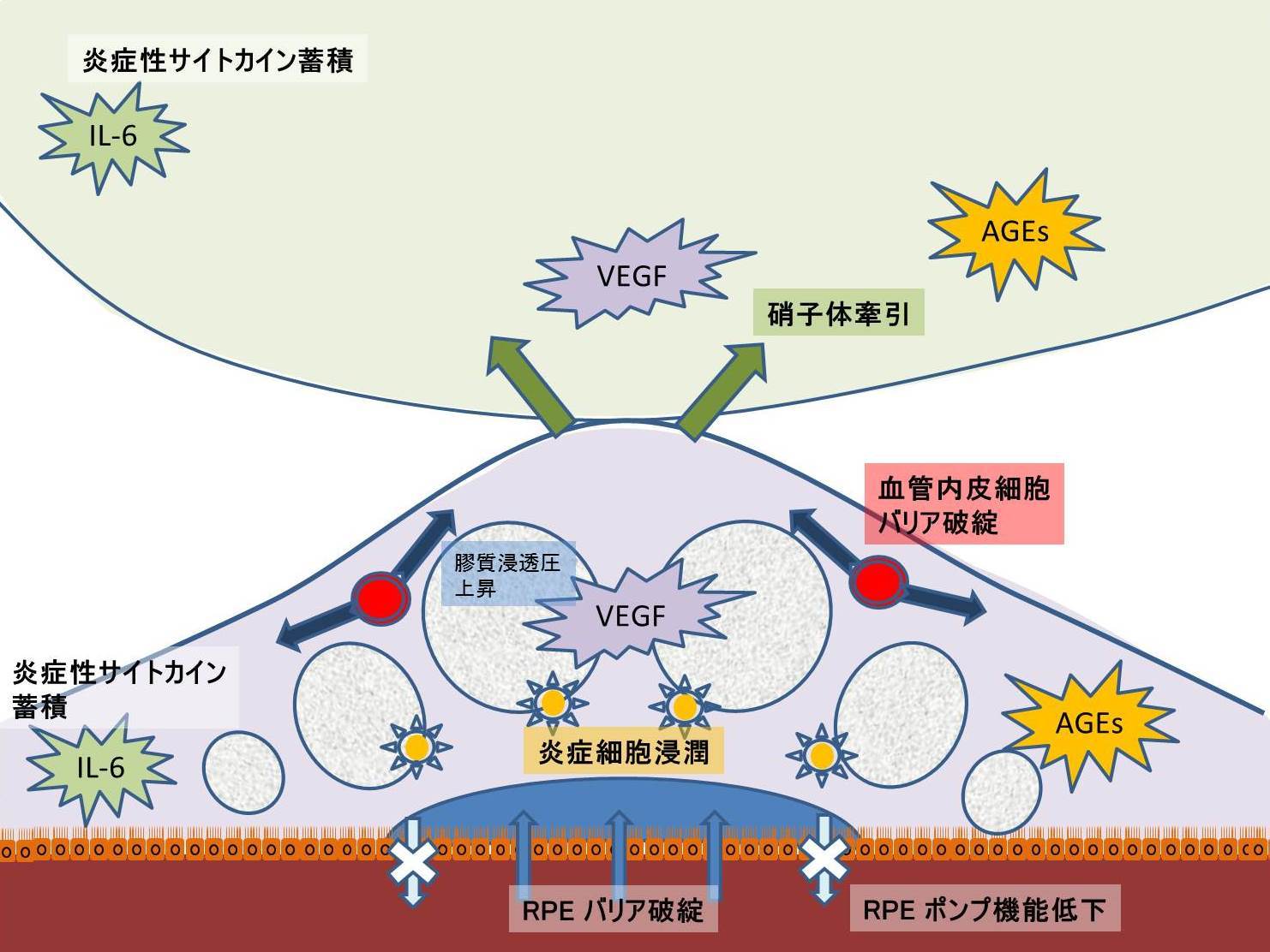 第4回守口オフサルミックフォーラム その2 (855)_f0088231_14252621.jpg