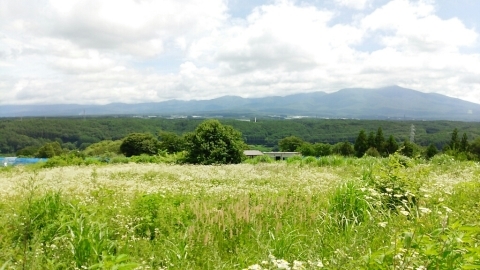 e0305834_23231027.jpg