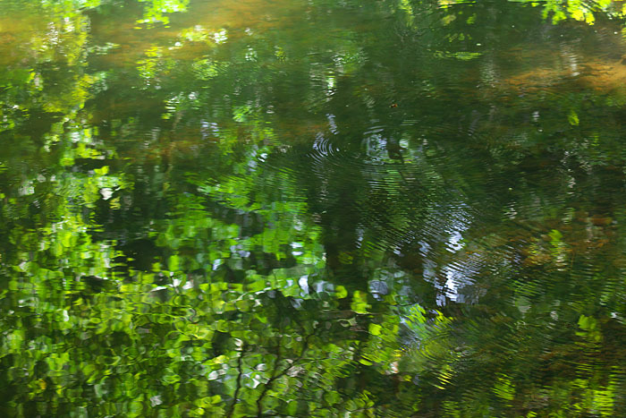 c0067040_23440137.jpg