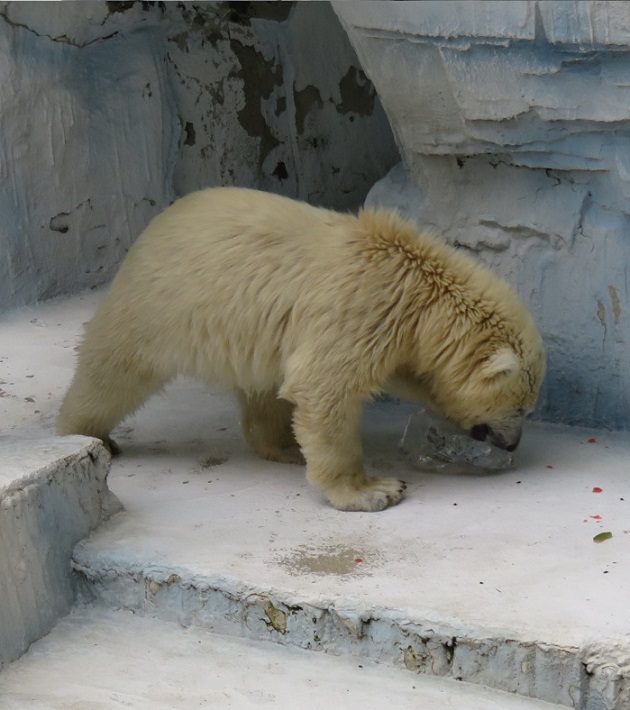 f0002743_13293063.jpg