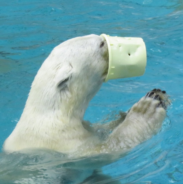 f0002743_1330292.jpg