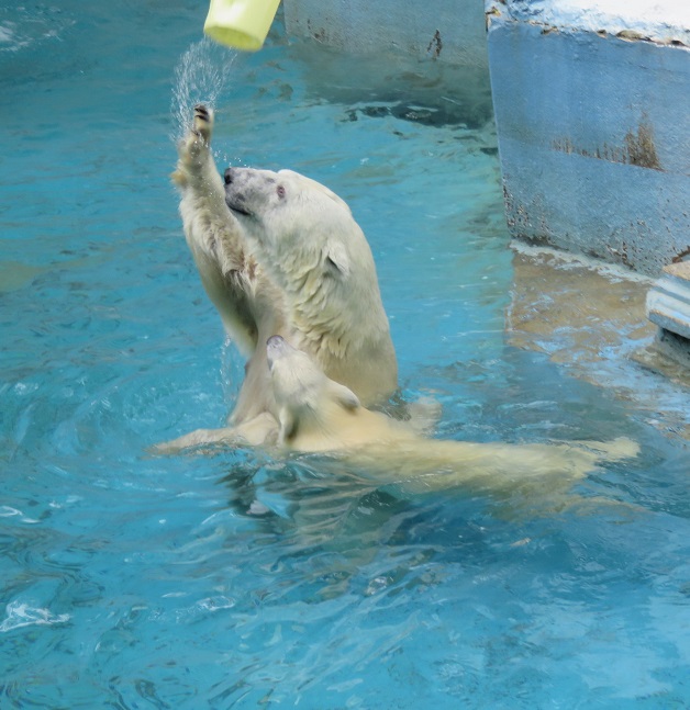 f0002743_1331740.jpg