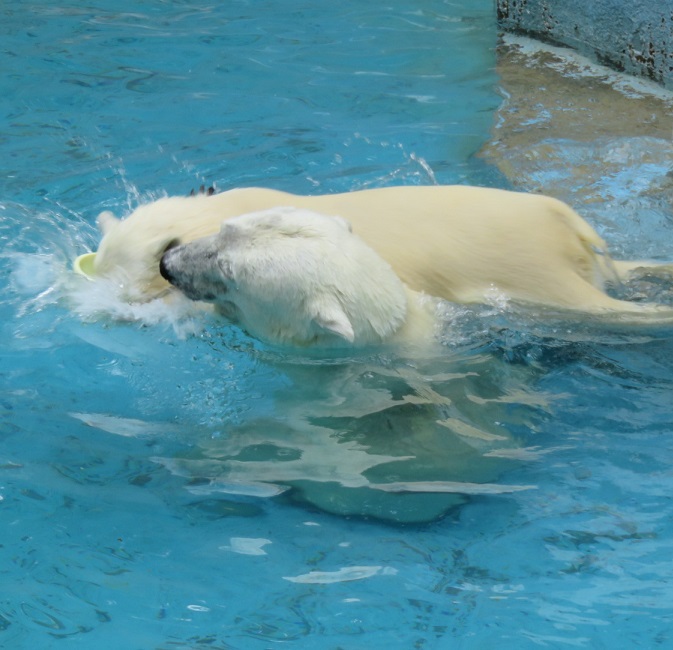 f0002743_13335474.jpg