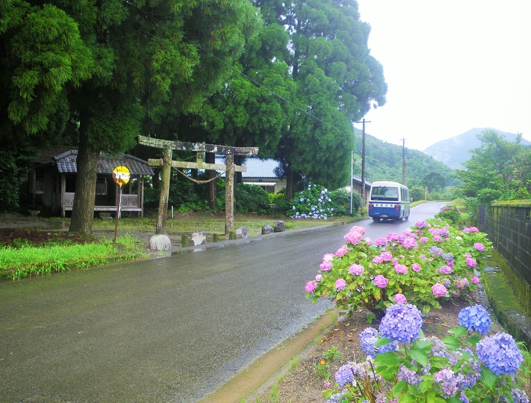 鎮守の森に見守られて。　菊地田神社(きくちだじんしゃ)_c0360849_10362969.jpg