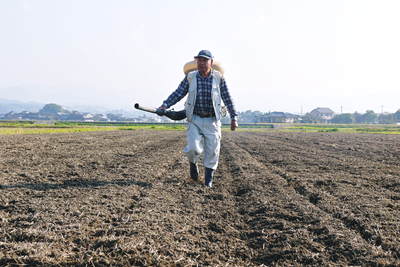 砂田米 こだわりの元気な土で、今年も順調に分けつしました_a0254656_17505071.jpg