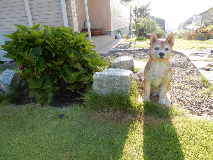 ’15,7,27(月)暑いけど・・・痩せません!_f0060461_10453036.jpg