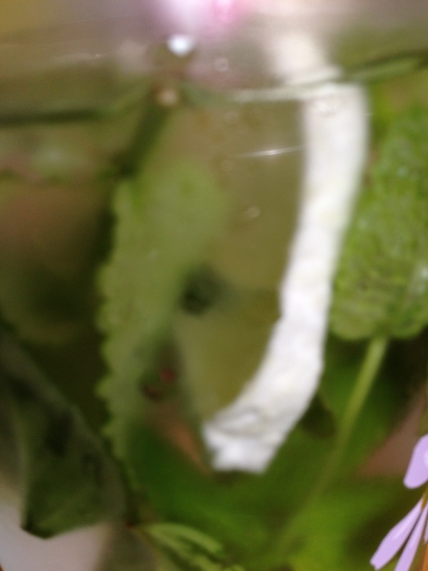 d0320463_14583449.jpg
