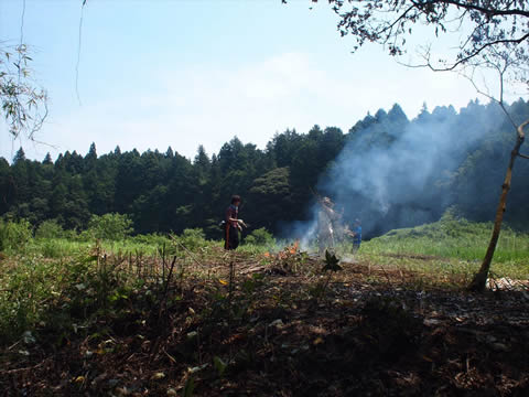 やつだ開拓団　活動レポート第７回_c0177665_11158100.jpg