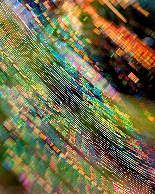 c0305565_18031249.jpg