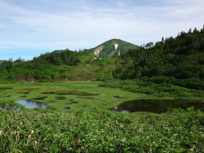 花の火打山（新潟県妙高市）_d0182075_7133746.jpg