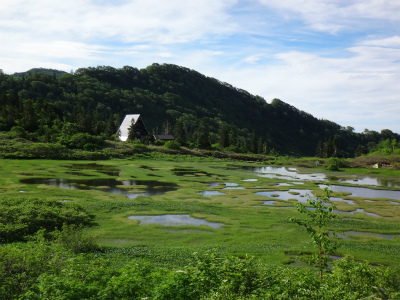 花の火打山（新潟県妙高市）_d0182075_714053.jpg