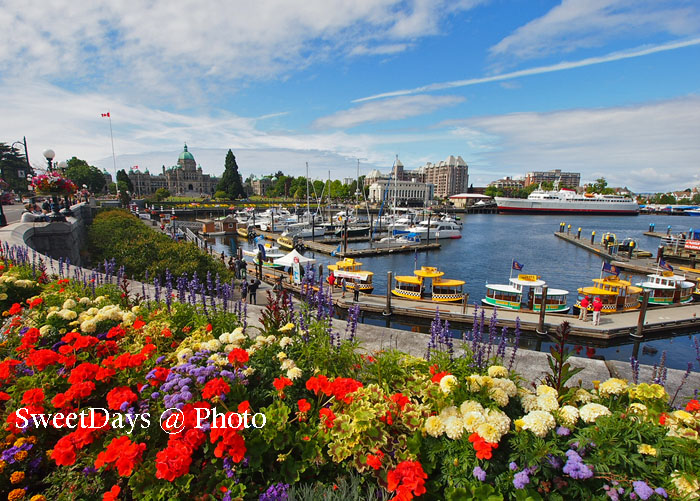 花の都、ビクトリア-Victoria BC_e0046675_1510226.jpg