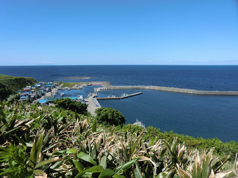 f0083977_65641.jpg