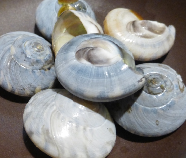 c0223591_1604142.jpg