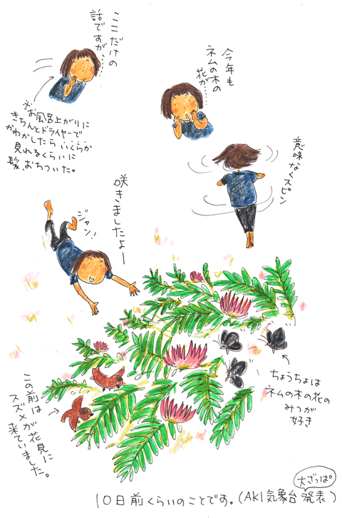 夏空の下の_f0236291_544265.gif