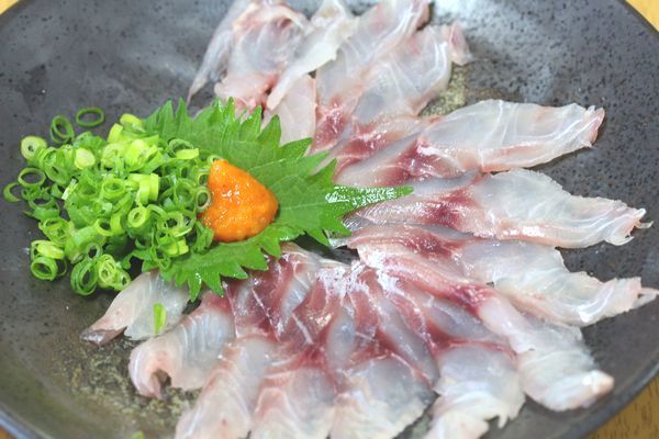 イサキの薄造りとソテー Kent S Kitchen