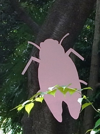 すみればの夏休み_b0049307_2175952.jpg