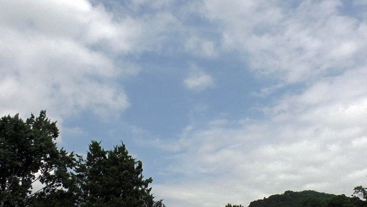 a0151913_3163059.jpg