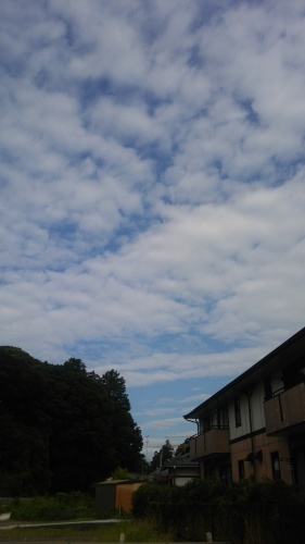 e0342314_14472701.jpg