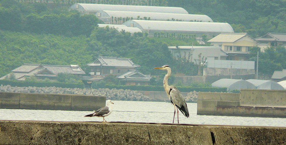 　　　　梅雨明けは～？　　　－７月２８日（火）－_a0041615_207136.jpg