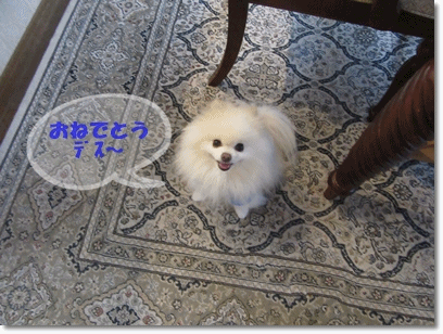 b0167519_20321154.gif