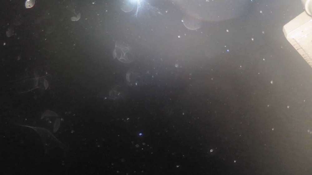 c0331825_13425423.jpg
