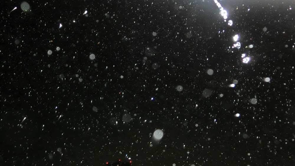 c0331825_16143783.jpg