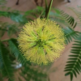 f0309325_20082739.jpg
