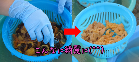 c0259934_14215586.png