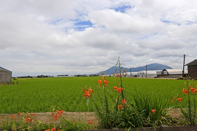 a0242438_19392746.jpg