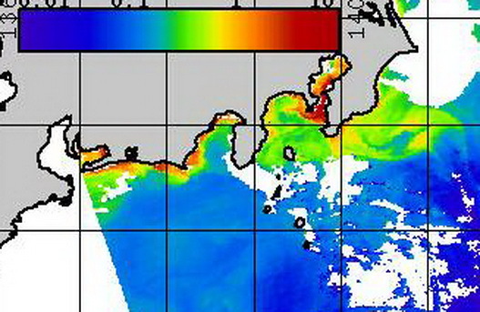 今週の各地の潮は・・・【カジキ・マグロトローリング】_f0009039_15004239.jpg