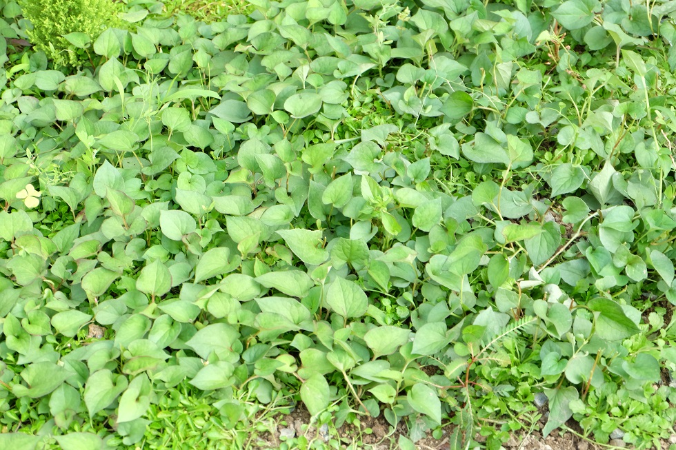 c0298740_23143874.jpg